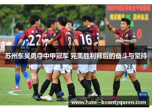 苏州东吴勇夺中甲冠军 完美胜利背后的奋斗与坚持