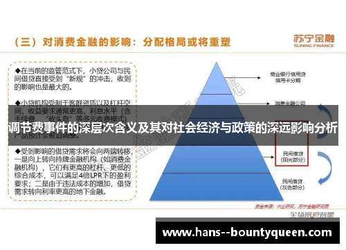 调节费事件的深层次含义及其对社会经济与政策的深远影响分析